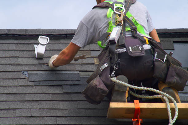 Affordable siding repair and maintenance services in Fremont, NC