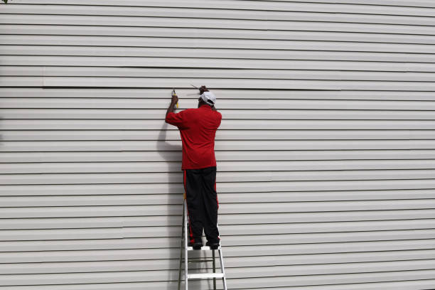 Best Fascia and Soffit Installation  in Fremont, NC