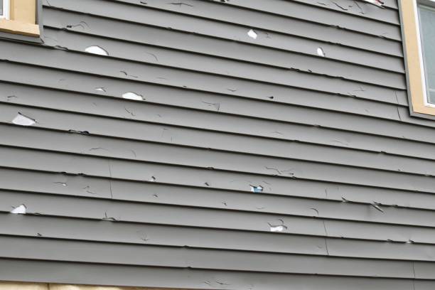 Best Wood Siding Installation  in Fremont, NC