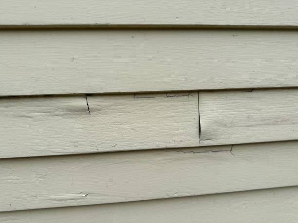 Historical Building Siding Restoration in Fremont, NC